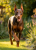 Gallery-2 [Lifestyle].png